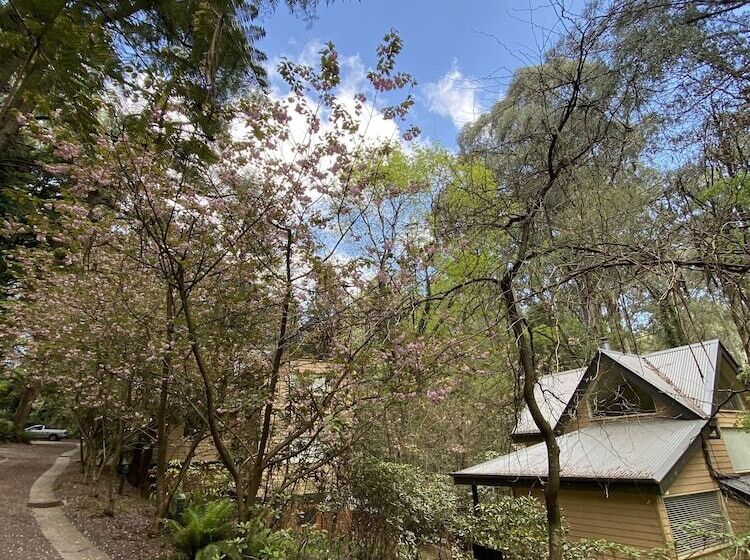 בית מלון כפרי Lochiel Luxury Accommodation