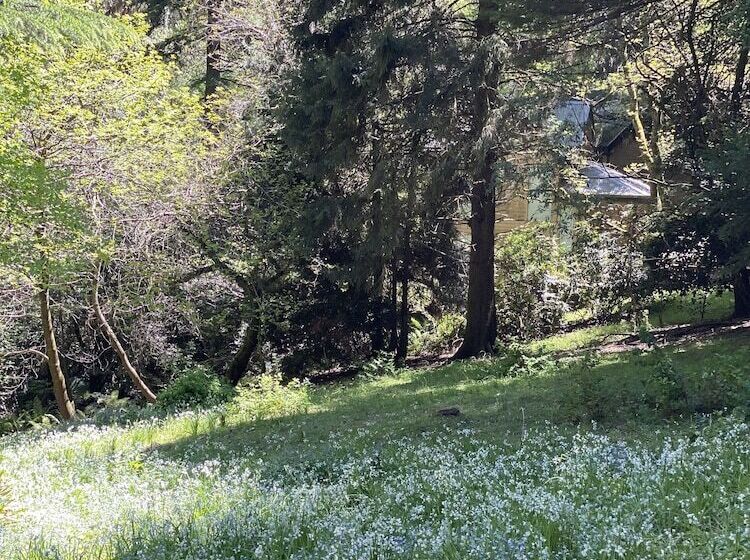 בית מלון כפרי Lochiel Luxury Accommodation