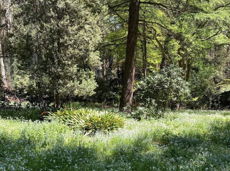 בית מלון כפרי Lochiel Luxury Accommodation