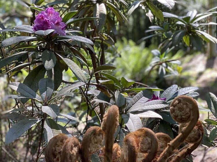 בית מלון כפרי Lochiel Luxury Accommodation