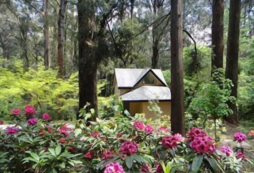 בית מלון כפרי Lochiel Luxury Accommodation