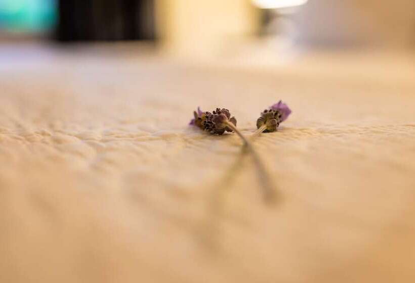 בית מלון כפרי Margaret River Guest House