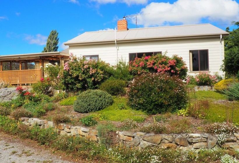 فندق Mole Creek Guest House