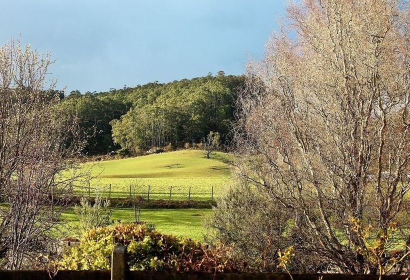 فندق Mole Creek Guest House