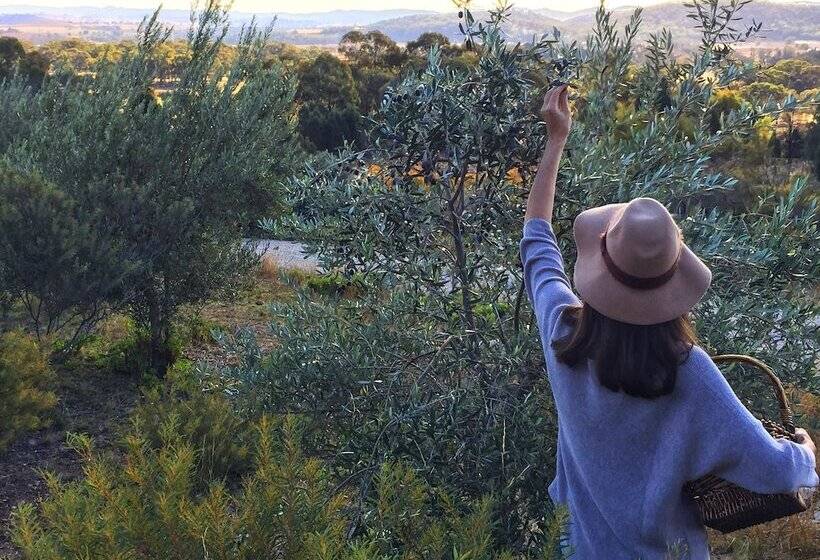 בית מלון כפרי Mudgee Homestead Guesthouse