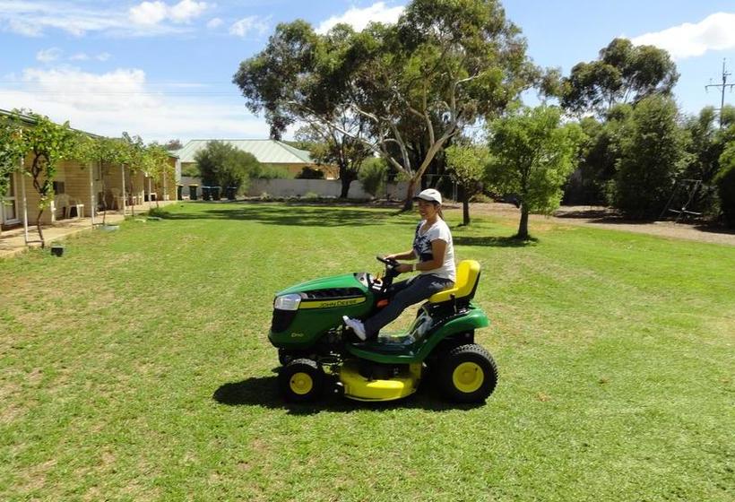 호텔 Murray Bridge Motor Inn