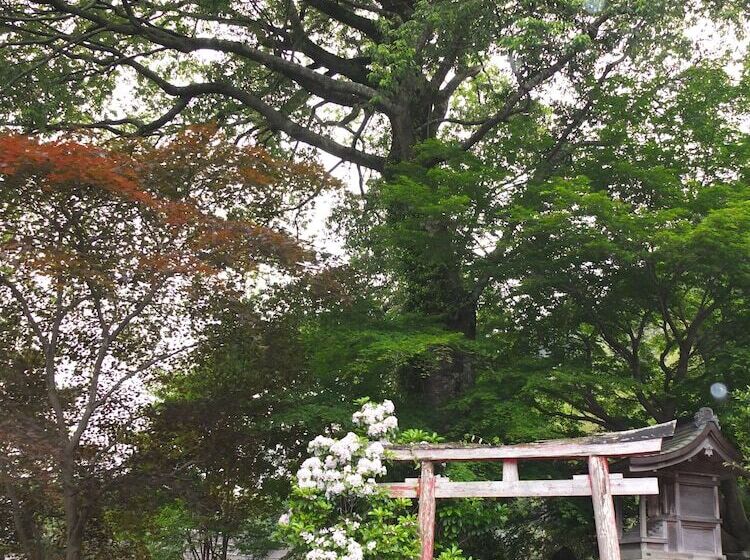 בית מלון כפרי Ootaki