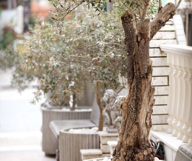 فندق Parthenon Art