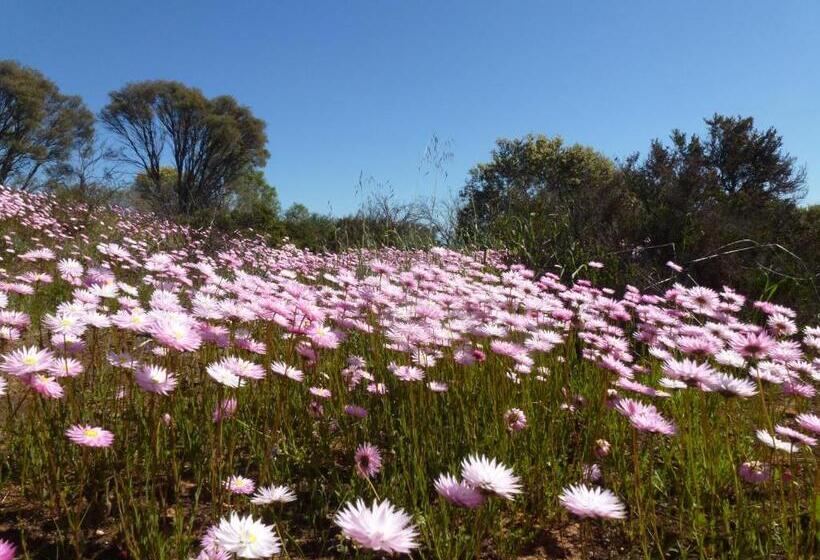 בית מלון כפרי Pelican S Nest