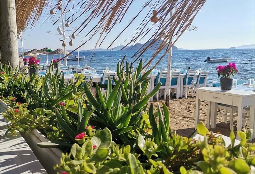 فندق Pitosbungalows