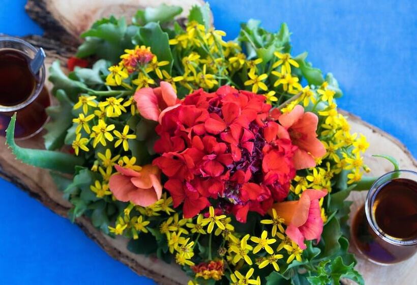 فندق Pitosbungalows