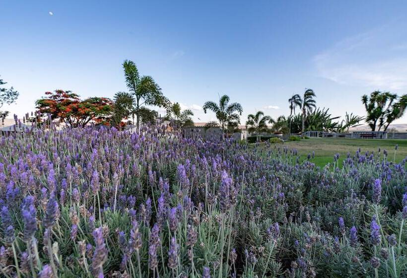 호텔 Pousada Camelot Inn