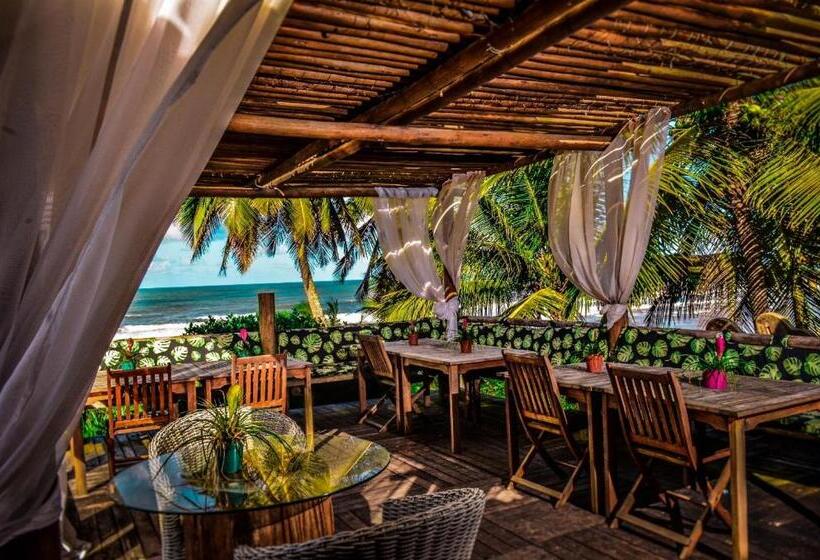 בית מלון כפרי Pousada Morro Dos Navegantes