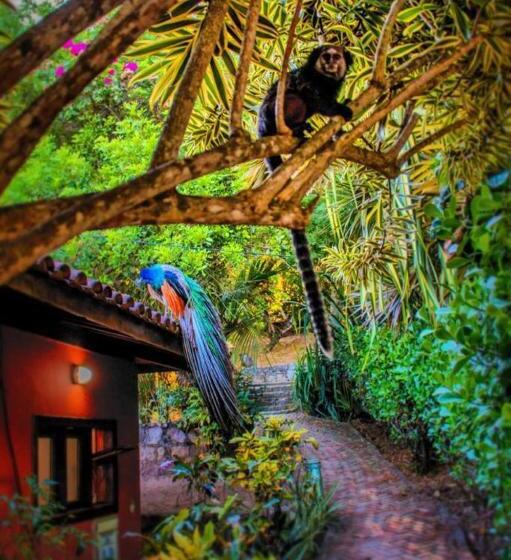 בית מלון כפרי Pousada Morro Dos Navegantes