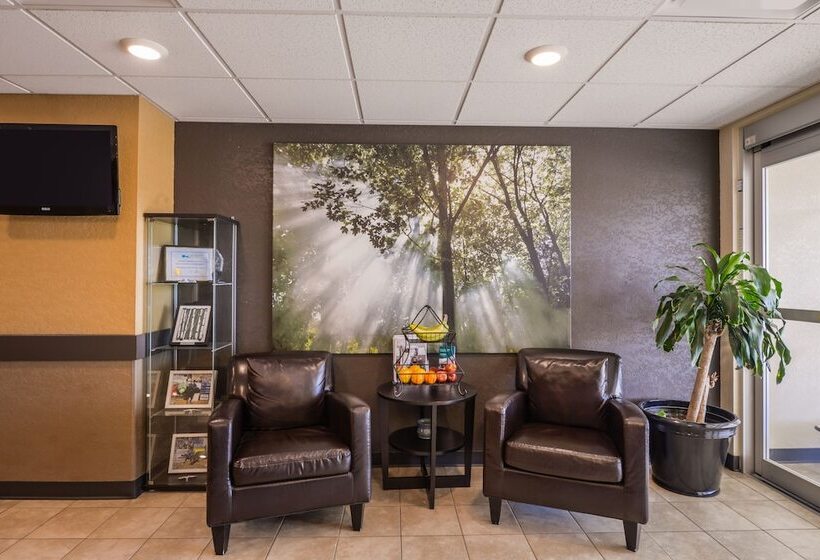 فندق Kindersley All Suites