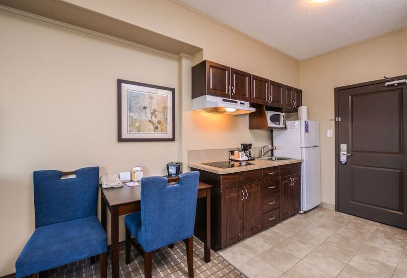 فندق Kindersley All Suites