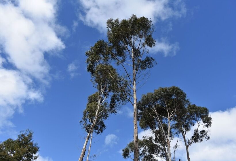 هتل Rosedale Cottages