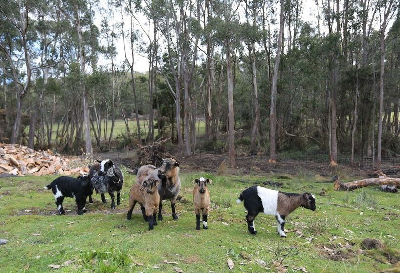 هتل Rosedale Cottages