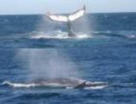 בית מלון כפרי Sacred Mountain Retreat