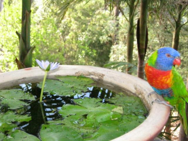בית מלון כפרי Sacred Mountain Retreat