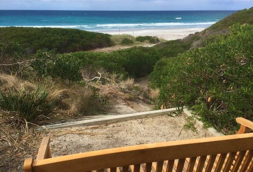 فندق Sandpiper Ocean Cottages