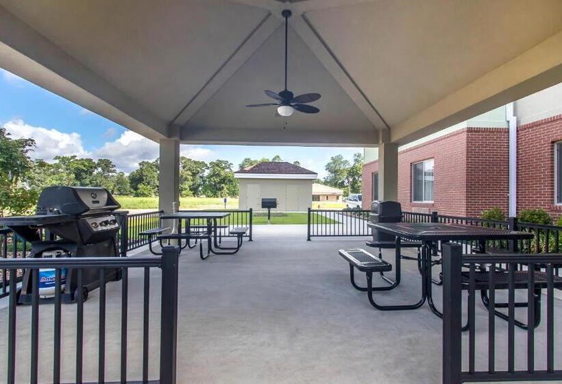 בית מלון כפרי Suburban Studios Donaldsonville   Gonzales