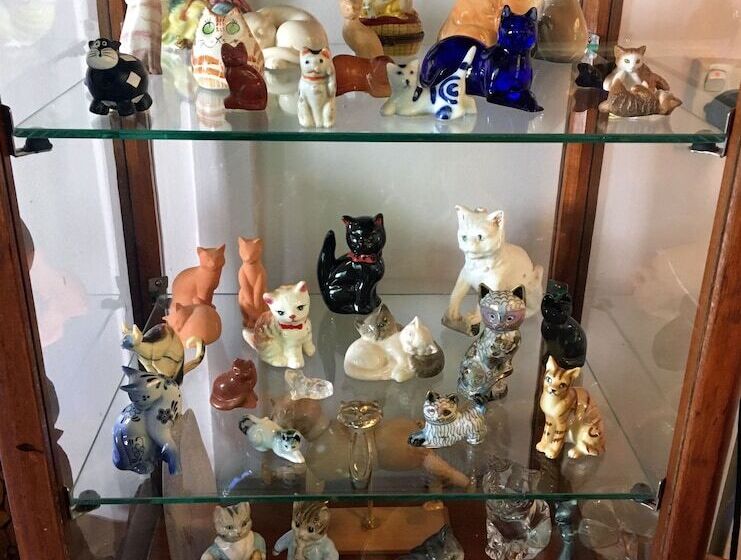 בית מלון כפרי The Chalet Guesthouse And Studio