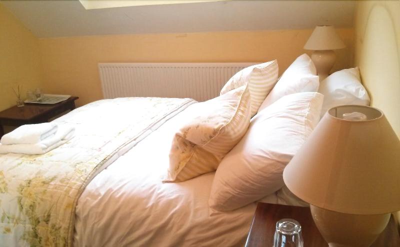 Отель The Geese And Fountain