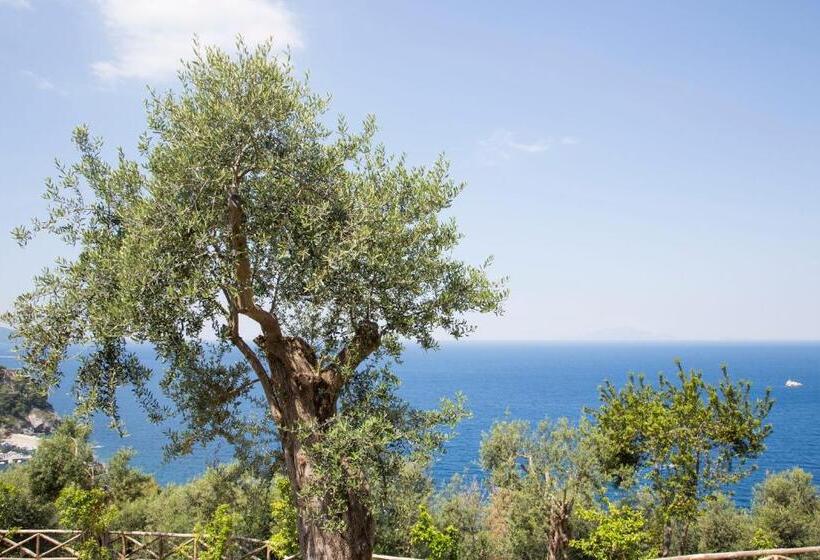 فندق Villa Fiorella Art