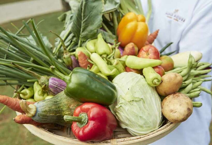 Manor House Boutique Villa