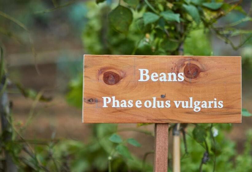 Manor House Boutique Villa