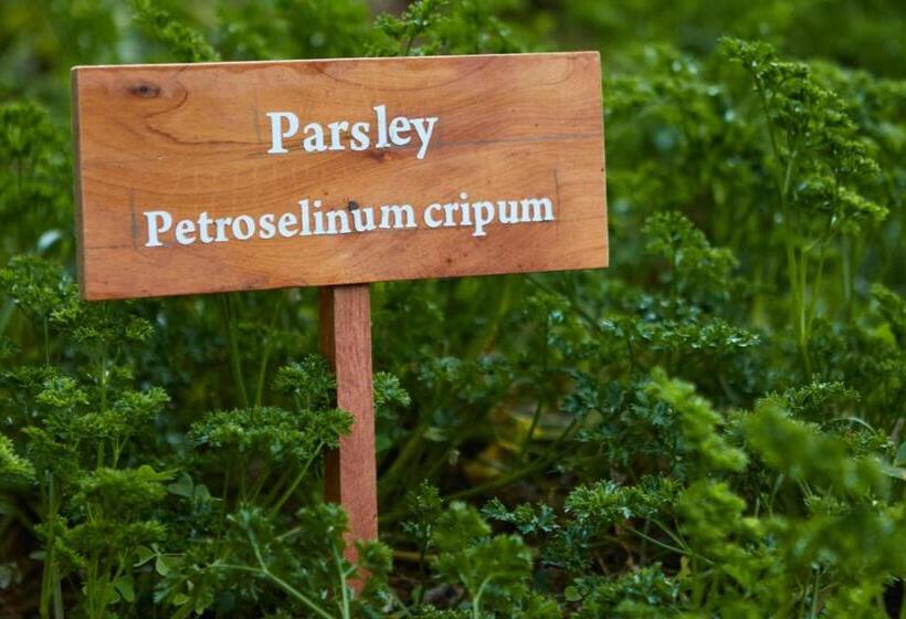 Manor House Boutique Villa