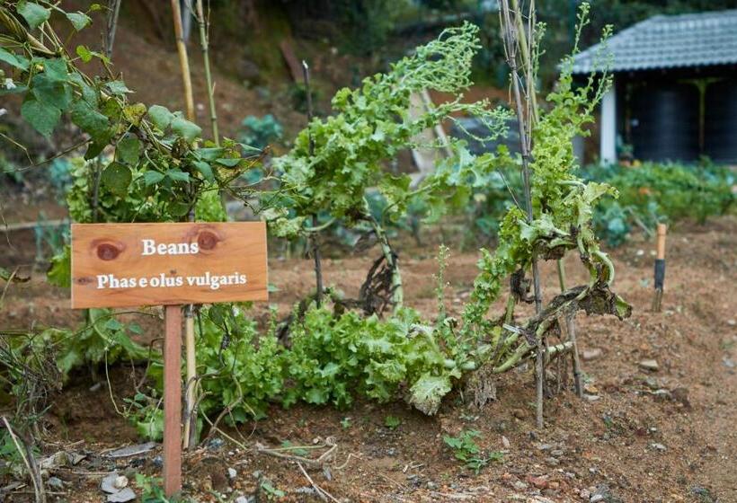 Manor House Boutique Villa