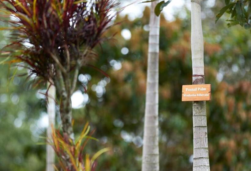 Manor House Boutique Villa