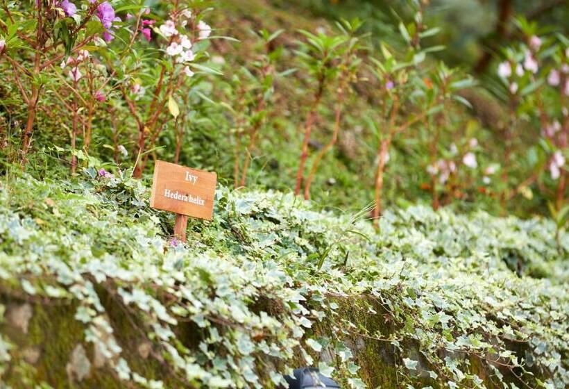 Manor House Boutique Villa