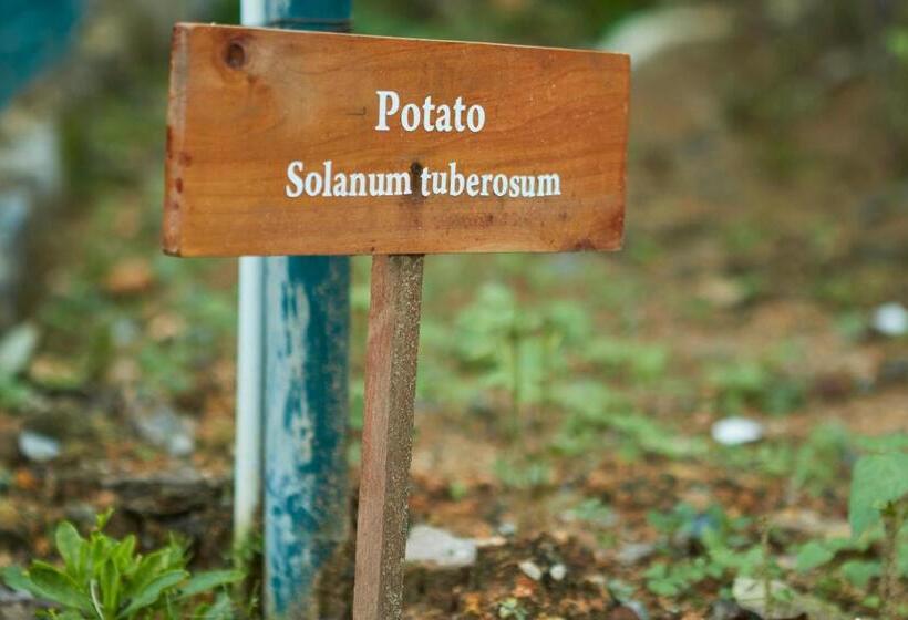 Manor House Boutique Villa