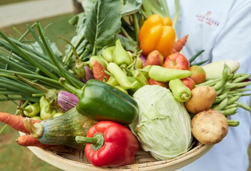 Manor House Boutique Villa