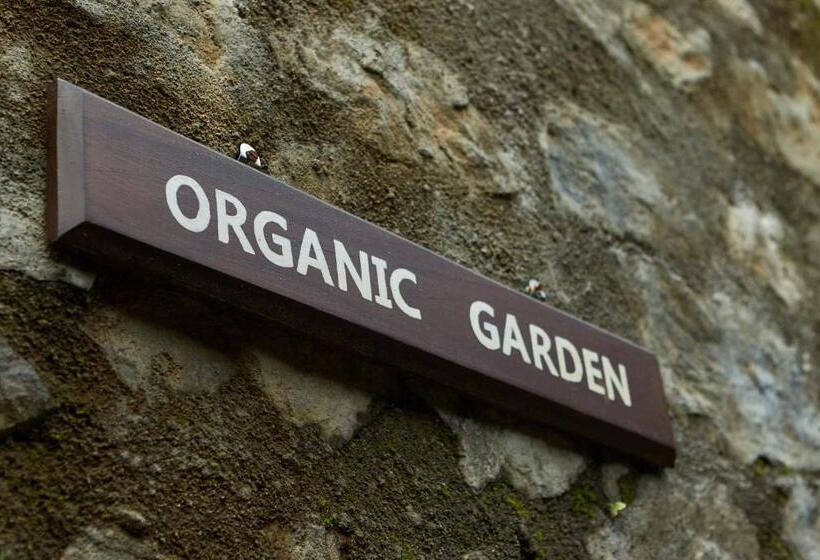 Manor House Boutique Villa