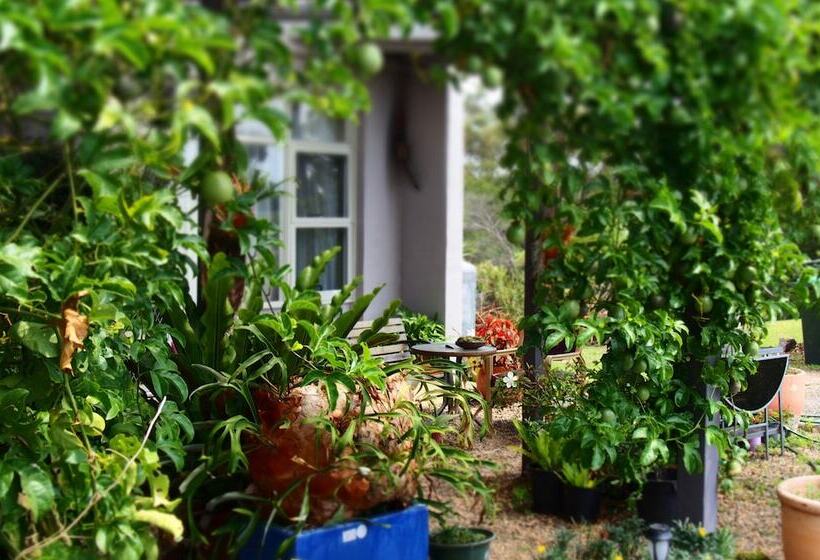 Norfolk Pine Motel Merimbula