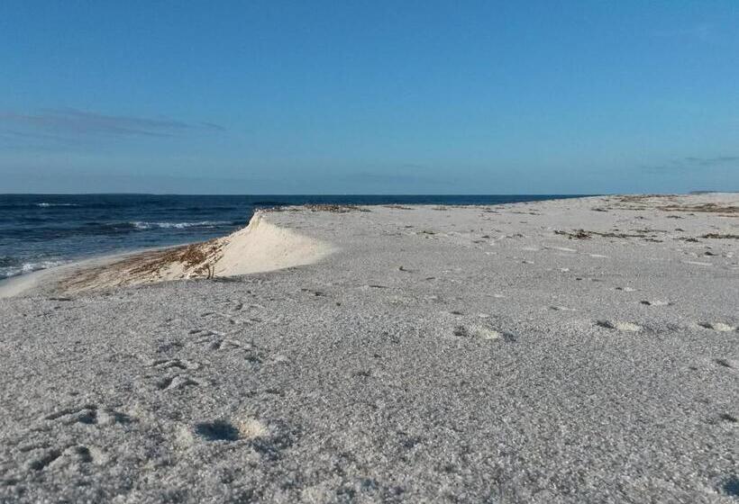 פנסיון Affittacamere Le Statue Del Sinis