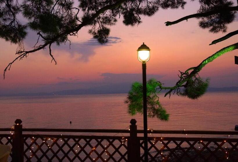 Akti Belvedere Color & Essence