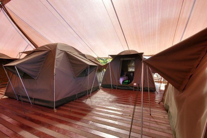 Общежитие Urban Glamping Tranquil International Backpacking Village