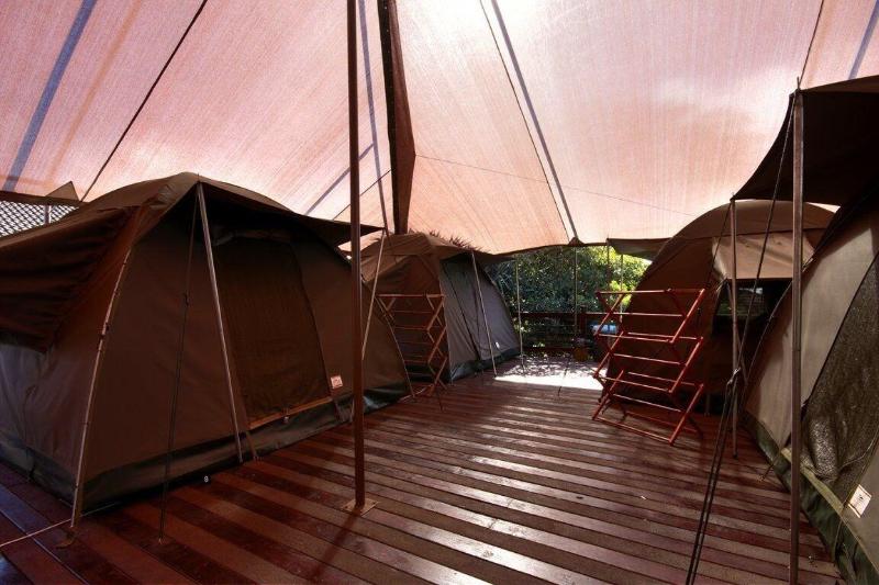 Общежитие Urban Glamping Tranquil International Backpacking Village