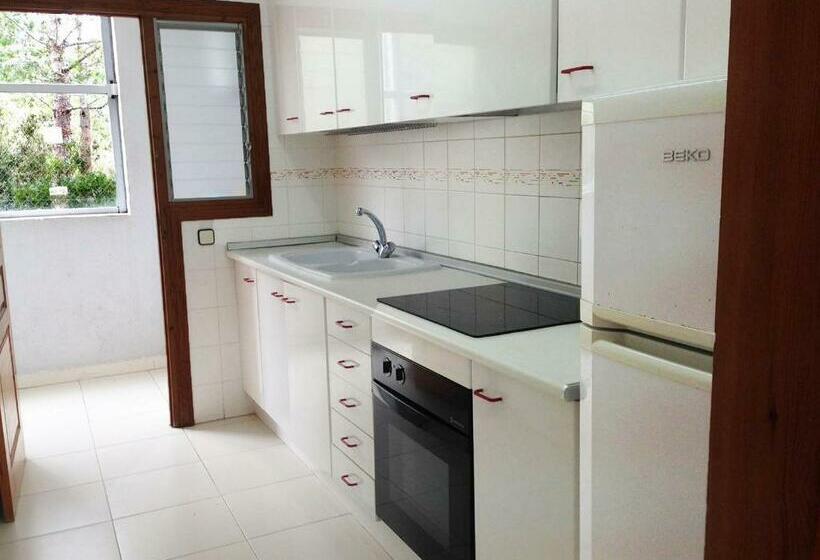 Apartamentos Palma Blanca 3000