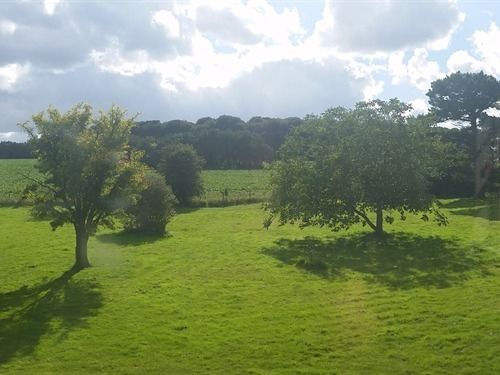 住宿加早餐  Red Lodge Country House