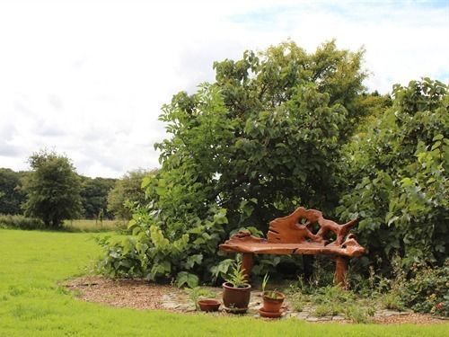 住宿加早餐  Red Lodge Country House