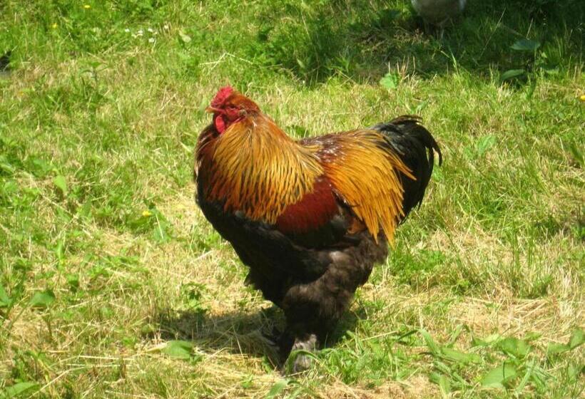 민박 Walford Court