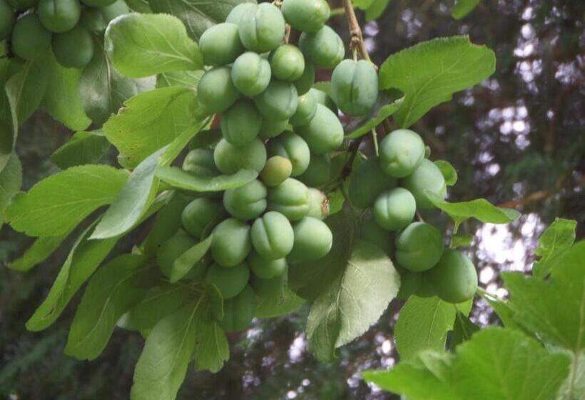 민박 Walford Court