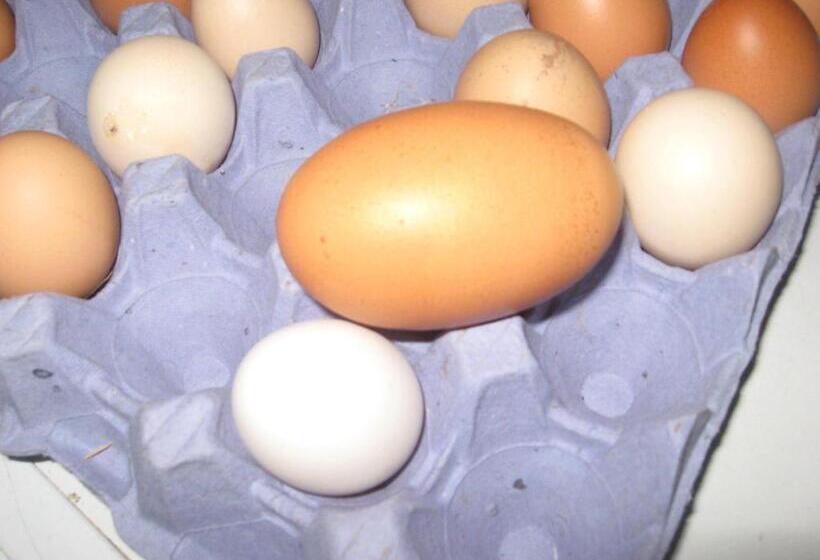 민박 Walford Court