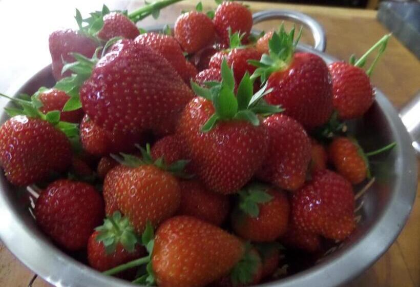 민박 Walford Court